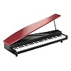 KORG microPIANO RD