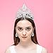 DcZeRong 5 Inch Tall Large Tiara Adult Women Birthday Pageant Prom Queen Silver Crystal Rhinestone Crown