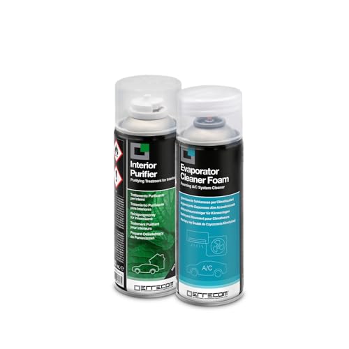 Errecom Total Care - Kit Completo Pulizia e Igienizzazione Climatizzatore Auto e Abitacolo | Pulitore Schiumoso Impianto A/C + Spray Igienizzante Abitacolo One-Shot Menta | 2 x 200 mL 