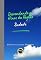 Livro Desvendando os Hinos da Região Sudeste (DESVENDANDO OS HINOS CÍVICOS DO BRASIL Livro 29)
