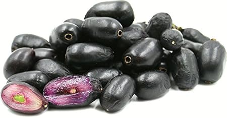 Creative Farmer Fruit Seeds Black Plum - Jamun Fruit Seeds Seeds For Garden Fruit Seeds Kitchen Garden Pack