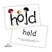 SnapWords List C Teaching Cards - Sight Words