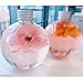 Longay 1/6 Pack Booze Filled Christmas Tree Ornaments Water Bottle Milk Juice Bulbs Cup (6pcs)
