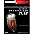 Cohen's Pathways of the Pulp Expert Consult, 11e