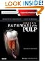 Cohen's Pathways of the Pulp Expert Consult, 11e
