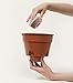 Santino Self Watering Planter Latina 6.9 Inch Jade Indoor/Outdoor Flower Pot with Bottom Watering and Water Level Indicator for All Plants, Flowers, Herbs