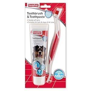 Beaphar-Toothbrush-and-Toothpaste-Kit-100g Beaphar | Toothbrush & Toothpaste Dental Care Kit | For Dogs & Cats | Includes a Double-Ended Toothbrush & Liver…