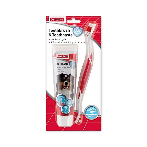Beaphar-Toothbrush-and-Toothpaste-Kit-100g Beaphar | Toothbrush & Toothpaste Dental Care Kit | For Dogs & Cats | Includes a Double-Ended Toothbrush & Liver…