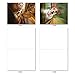 The Best Card Company - 10 Blank Dog Cards Assorted (4 x 5.12 Inch) - Adorable Boxed Animal Note Cards for All Occasions - Doggie in the Window M6481OCB