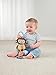 Fisher Price My Little SnugaMonkey Stroller Rattle Monkey