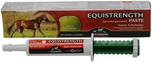 First Companion Pyrantel Paste Strongid Horse Wormer Parasite (1 Tube)