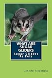 What Are Sugar Gliders: Sugar Gliders As Pets by