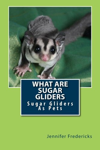 What Are Sugar Gliders: Sugar Gliders As Pets by Jennifer Fredericks