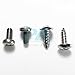 PRIME AVE Stainless Steel License Plate Screws for License Plates, Frames, Covers- Rust Proof Rear & Front Licence Plate Screw Set - Compatible with Toyota, Lexus & Scion