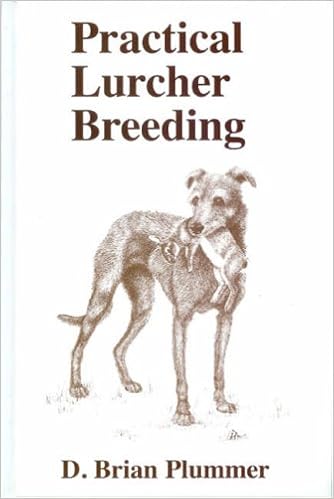 adult size rocking horse