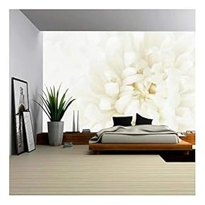 Loseup of Tender White Chrysanthemum Flower