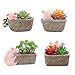 Youfui Pig Decor Pot Cute Piggy Succulent Planter Home Desk Office Fairy Garden Decoration Pig Gifts Ideal Gifts for Women, Mom or Birthday Christmas Pig Lovers Gift