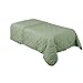 ForPro Premium Quilted Blanket, Sage, Lightweight, Wrinkle-Resistant, For Massage Tables, Beds, And Sofas, 58” W X 85” L