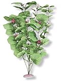 Vibran-Sea Broad Lily Leaf Silk-Style Aquarium Plant, Extra-Large 18-19 tall, Green