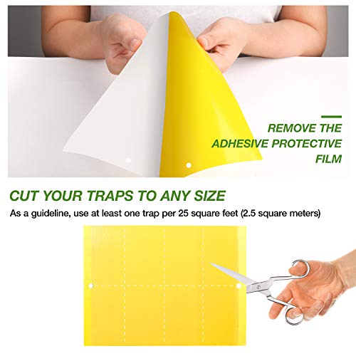 Fruit Fly Traps (20 Pack) DualSided Yellow Sticky Traps for Indoor
