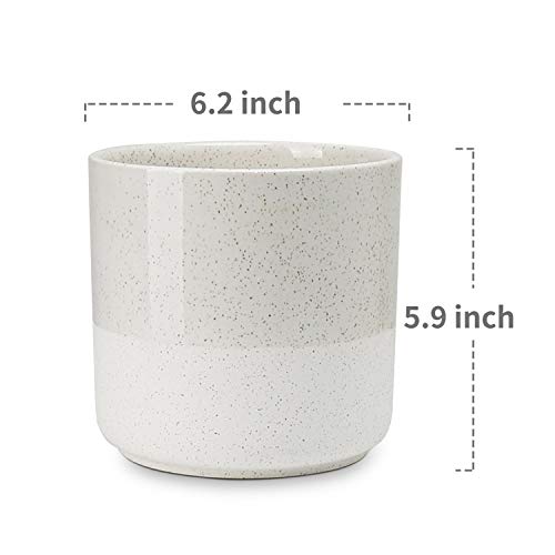 Greenaholics Indoor Plant Pot - 6.2 Inch Half Glazed Ceramic Planter for Indoor Planting, Snake Plant, Plant Container, Flower Pot, Drainage Hole, Beige - Thumbnail 2