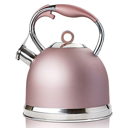 Top 10 Tea Kettles That Don't Rust of 2020 No Place Called Home