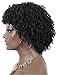 Kalyss Premium Synthetic Short Afro Kinky Curly Wigs for Black Women Realistic Black Curly Wigs Lightweight Soft Natural Curls Hair Wigs