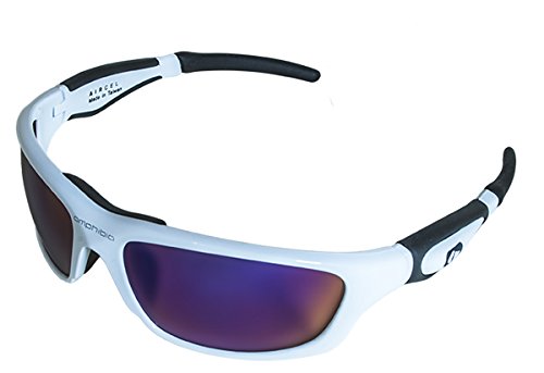 amphibia sunglasses