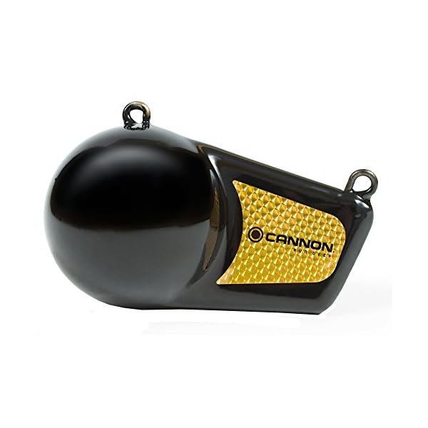 Cannon-Flash-Downrigger-Weights