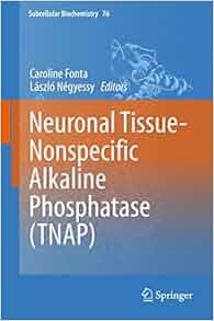 Neuronal Tissue Nonspecific Alkaline Phosphatase Tnap
