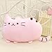 Big Cat Emoji Throw Pillow Pet Sofa Decorative Cushion Soft Plush Toy Doll 15inches 1pc (Pink)