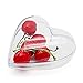 KEIVA 100mm Clear Plastic Acrylic Fillable Hearts Shape Ball Craft Ornament- Pack of 10 (Heart Size 100mm)
