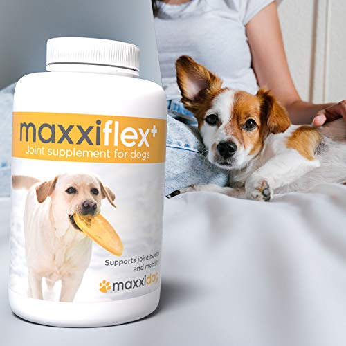 maxxipaws maxxiflex+ Heup- en Gewrichtssupplement voor Honden - 120 Kauwtabletten – Supplementen voor Honden met… - Afbeelding 5