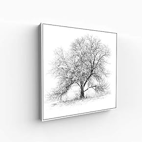 Canvas Wall Art for Living Room, Bedroom Monochrome Image Framed Canvas Prints for Home Decoration Ready to Hang - 16x16 inches