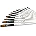 StarVast Painting Brushes, 12pcs Professional Angled Paint Brush Set for Watercolor/Oil/Acrylic/Crafts/Rock/Face Painting and Gouache - White