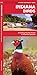 Indiana Birds: A Folding Pocket Guide to Familiar Species (Wildlife and Nature Identification) primary