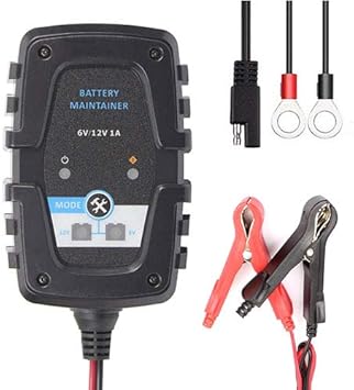 Amazon.com: 1 Pack 6V & 12V 1Amp Trickle Charger Car Battery Maintainer