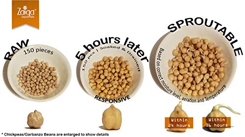Chickpeas Garbanzo Beans | Delicious to Taste, Cooks Even, Comes Clean | Quality Choice for Making Nutritious Creamy Hummus, Gluten-free Flour, Vegan & Indian Curry Dishes | Grown in USA - 2 LBS
