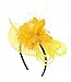 Anita Women's Fascinators Small Hairpin Feather hat (One Size, Yellow)