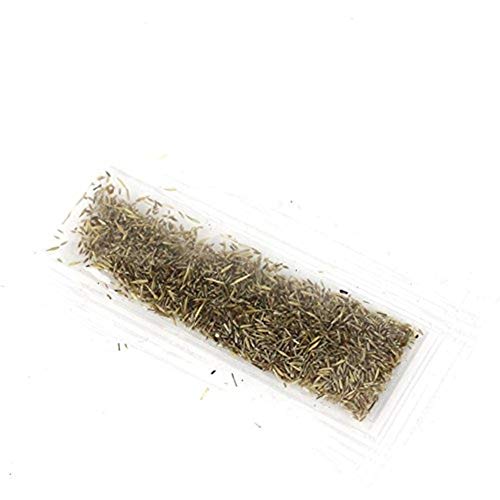 Afco 1000Pcs Aquarium Plant Seeds Mixed Grass Seeds Water Grass Underwater Decor Foreground (Green) Afco 1000Pcs Aquarium Plant Seeds Mixed Grass Seeds Water Grass Underwater Decor Foreground (Green)