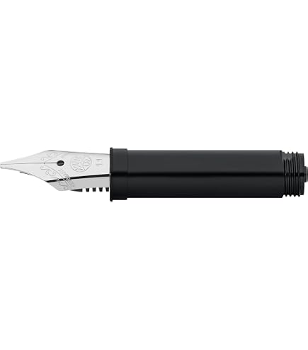 Amazon.com : Kaweco Steel Nib Insert 060 with Thread Gold for