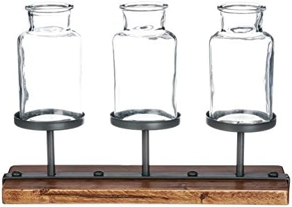 Set of 3 DCC Clear Glass Jars with Wooden Pedestal Base