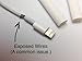 Embrium 3 Pcs Cable Bite Protectors (Frog, Panda, Dog) Cute Animal Cord Compatible with iPhone (5, 5S, SE, 6, 6S, 7, 8, X)