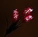 Samgo Outdoor Waterproof Solar Flower Battery Light Hyacinth for Garden, Balcony, Lawn Illumination (Pink)