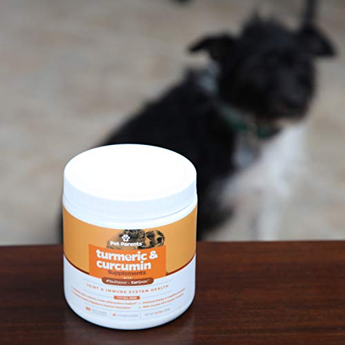 Pet Parents USA Turmeric for Dogs 4g 90c K9 Joint, Dog Joint & Dog