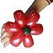 Ultimate Balloon Animals Complete Course On Making Over 50 Different Balloon Creations - DVD + Digital Access