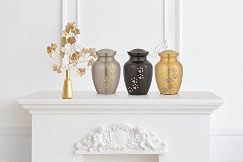 Enshrined Memorials Cremation Urn for Ashes - Cerberus Series Affordable Brass Handcrafted Pets Dogs Cats Funeral Burial Small 6 inch Paw Prints