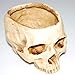 Xinhuaya Retro Human Skull Head Flower Pot Planter Bed Box Container Replica Home Bar Decor