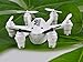 NiGHT LiONS TECH® X800S 6 Axis Gyro Headless 2.4G Mini RC Pocket Drone Quadcopter With 3D Roll Auto Return(White)