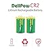 IORMAN Delipow CR2 Rechargeable Batteries, 3-Volt, 800mAh, Lithium, MSDS Approved, Pre-Charged Photo Camera Battery (2-Pack)